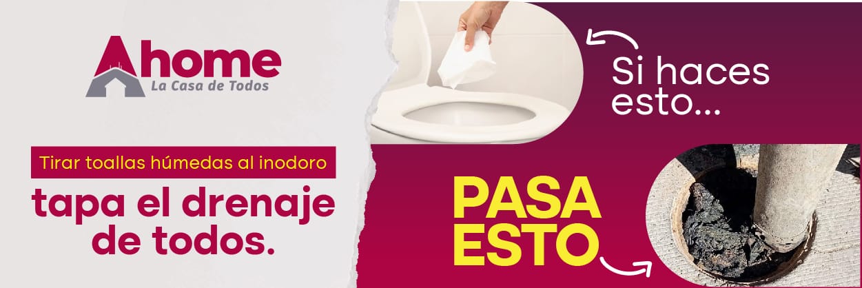 Ahome